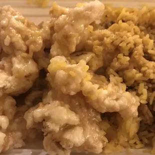 a plate of rice and chicken
