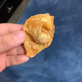 This is the whole wonton with meat included