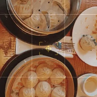 Pan Fried Pork Dumplings