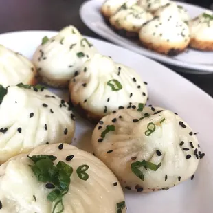 Pan Fried Buns Xiaolongbao