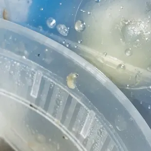 Miso soup combo with extra protein smh.