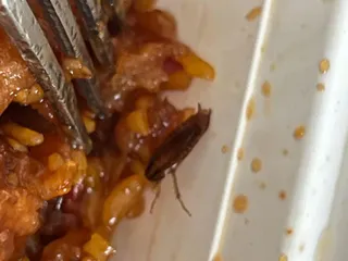 Dragon Chinese Restaurant