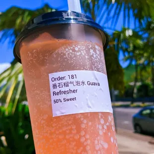Guava Refresher