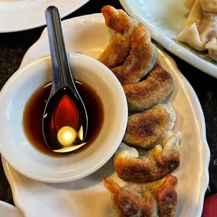 Pan fried vegetable dumplings