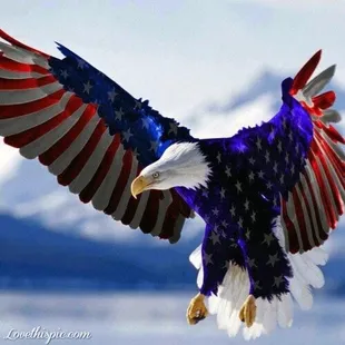 Merica