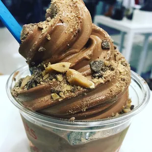 Chocolate Frozen Yogurt with Heath Bar Topping