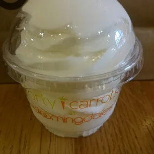 Regular plain frozen yogurt (froyo)