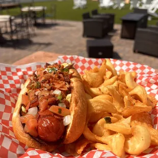 hot dogs, hot dog, food, sandwich