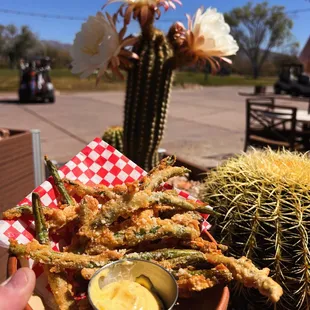 food, oysters and mussels