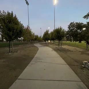 Walking to the baseball fields