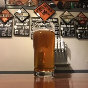 Mammoth IPA
