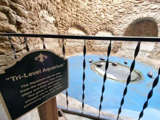 Forestiere Underground Gardens