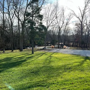 View from the winery patio