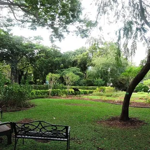 The open-air butterfly garden is a must see area of Foster Botanical Garden.