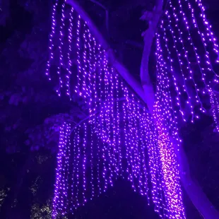 Midsummer&apos;s Night Gleam 2017