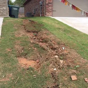 Another pic of my side yard