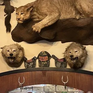 Stealthy and about to pounce