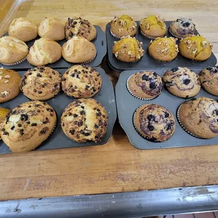 a variety of muffins