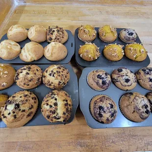 a variety of muffins