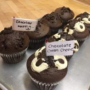 Chocolate flavoured muffins