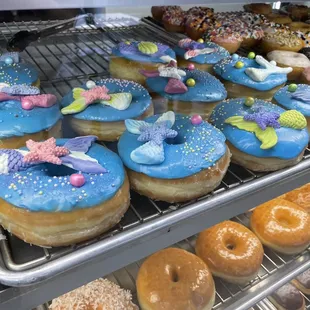 a variety of doughnuts
