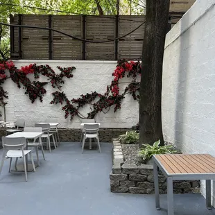 Outdoor seating in the back, patio area
