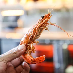 Peel and eat prawns