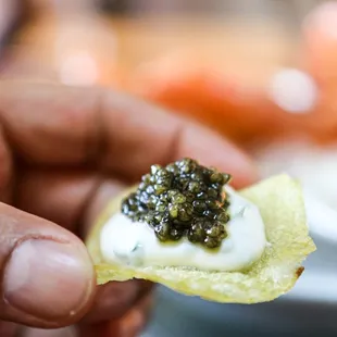 Caviar