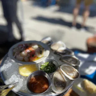 Oysters