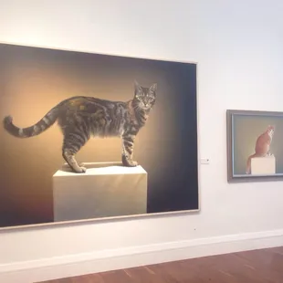 Biggest cat paintings I&apos;ve ever seen!