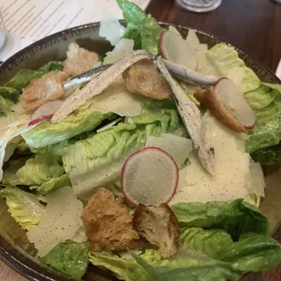 Caesar Salad