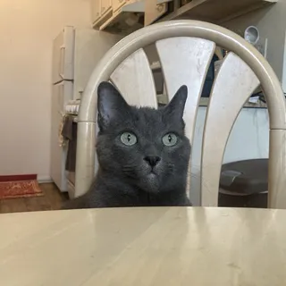 M B.