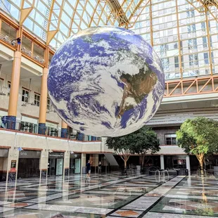 Gaia Exhibit on display until 10/1 | Instagram: @telephonesmoothie