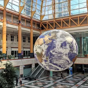 Gaia Exhibit on display until 10/1 | Instagram: @telephonesmoothie