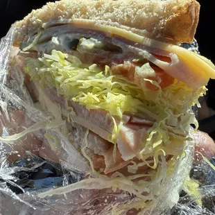 My sandwich - it was huge.