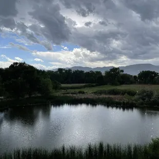 Gorgeous landscape