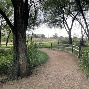 Really great shaded and small gravel trail - perfect for kids to explore