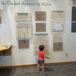 Lots of things for little ones to touch and see