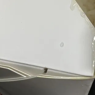 Bug on rice box