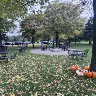 Outdoor area