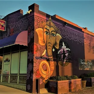 Beautiful, colorful and nurturing energy