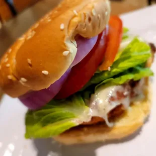 Spicy chicken sandwich is beautiful!