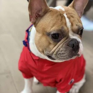 My little guy sitting on the deck enjoying the vibes of the brewery.
