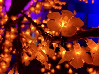 Winterlights at Newfields