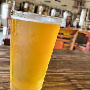 Station 12 (Belgian-style Blonde Ale)
