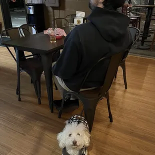 Dog Friendly :)