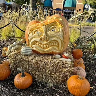 10.23.23 pumpkin art