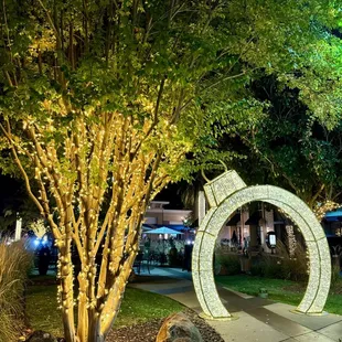 11.11.23 holiday lights are up at The Fountains