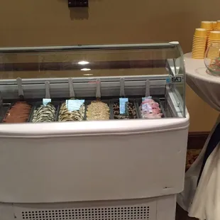 Buona Terra Gelato catering premium handcrafted gelato and sorbet at a beautiful wedding!