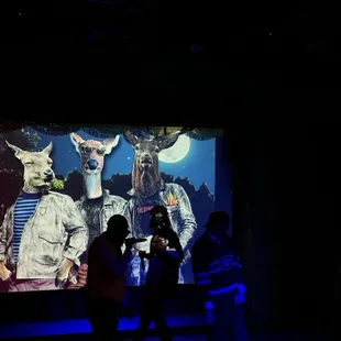 Projected images during show